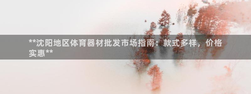 富联娱乐下载官网:**沈阳地区体育器材批发市场指南:款式多样