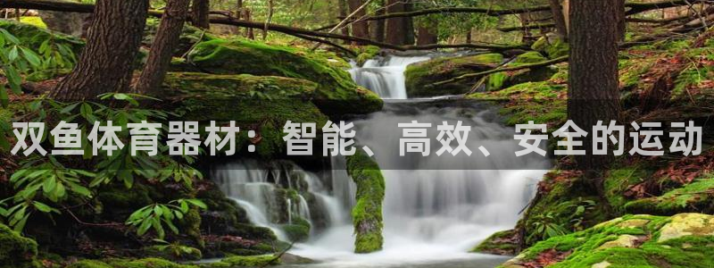 富联平台李 411O31 富联:双鱼体育器材:智能、高效、安
